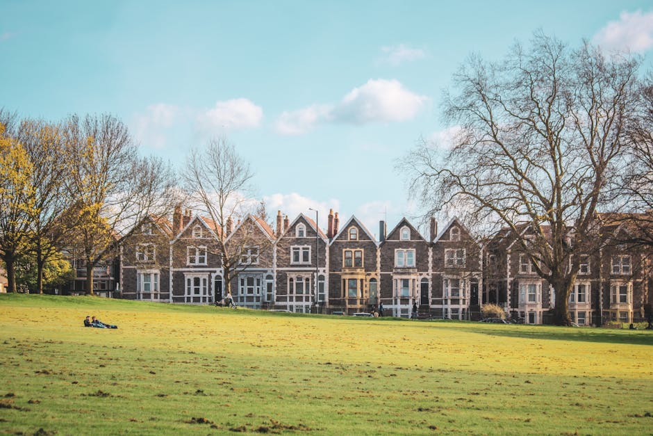 A wide view of a row of traditional Victorian terraced houses with brick and stone facades, large front windows, and small front gardens located along a residential street in Highbury. In the foreground, there is a large, well-maintained grassy park area with a gentle slope, where two children sit on the grass near a small pile of cardboard moving boxes, possibly part of a home relocation or packing process. Several leafless trees, indicating late autumn or early winter, are scattered across the park, casting shadows on the grass under a bright blue sky with a few scattered white clouds. A paved footpath runs along the edge of the park, separate from the houses, and a few pedestrians can be seen walking or cycling in the background. The scene captures a quiet moment during a house move, with visible signs of packing and outdoor activity near a residential area serviced by Removal Company Highbury, specializing in removals and furniture transport.